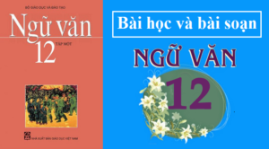 bai-viet-so-1-nghi-luan-xa-hoi-hoc-sinh-lam-o-nha-sgk-ngu-van-12-tap-1