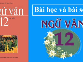 bai-viet-so-3-nghi-luan-van-hoc-sgk-ngu-van-12-tap-1