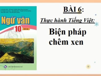 bien-phap-chem-xen-ngu-van-10-canh-dieu