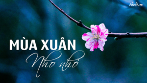 cam-nhan-ve-dep-cua-mua-xuan-thien-nhien-va-dat-nuoc-trong-doan-tho-sau-moc-giua-dong-song-xanh-mot-bong-hoa-tim-biec-mua-xuan-nho-nho-thanh-hai