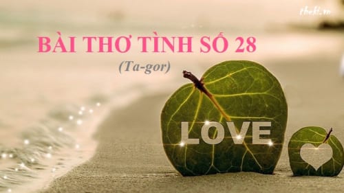 chat-triet-li-trong-bai-tho-tinh-so-28-cua-ta-gor