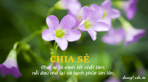 chia-se-la-cach-tot-nhat-lam-noi-dau-nho-lai-va-hanh-phuc-lon-len