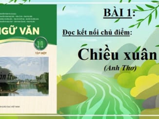 chieu-xuan-anh-tho-bai-1-ngu-van-11-tap-1-chan-troi-sang-tao