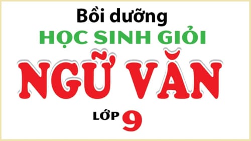 de-bai-luyen-thi-hsg-kien-thuc-ngu-van-9-bo-de-1