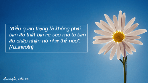 dieu-quan-trong-la-khong-phai-ban-da-that-bai-ra-sao-ma-la-ban-da-chap-nhan-no-nhu-the-nao