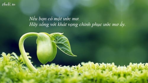 doc-hieu-chu-de-khat-vong-kham-pha