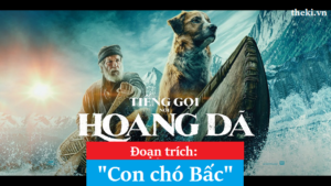 doc-hieu-van-ban-con-cho-bac