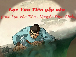 doc-hieu-van-ban-luc-van-tien-gap-nan-trich-luc-van-tien-cua-nguyen-dinh-chieu