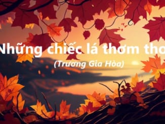 doc-hieu-van-ban-nhung-chiec-la-thom-tho-truong-gia-hoa-ngu-van-8-chan-troi-sang-tao