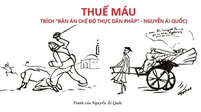 Đọc hiểu văn bản: Thuế máu (Nguyễn Ái Quốc) - Theki.vn