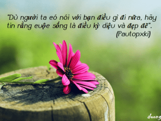 du-nguoi-ta-co-noi-voi-ban-dieu-gi-di-nua-hay-tin-rang-cuoc-song-la-dieu-ky-dieu-va-dep-de