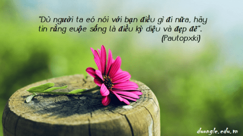 du-nguoi-ta-co-noi-voi-ban-dieu-gi-di-nua-hay-tin-rang-cuoc-song-la-dieu-ky-dieu-va-dep-de