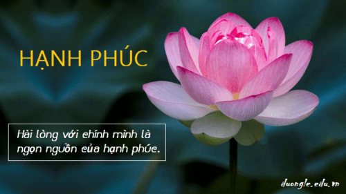 hai-long-voi-chinh-minh-la-ngon-nguon-cua-hanh-phuc