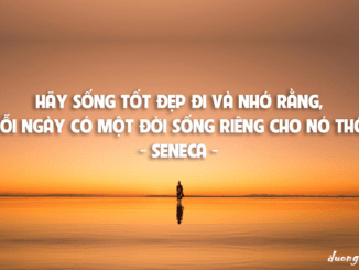 hay-song-tot-dep-di-va-nho-rang-moi-ngay-co-mot-doi-song-rieng-cho-no-thoi