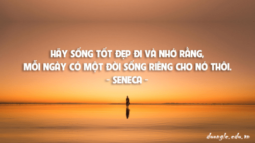 hay-song-tot-dep-di-va-nho-rang-moi-ngay-co-mot-doi-song-rieng-cho-no-thoi