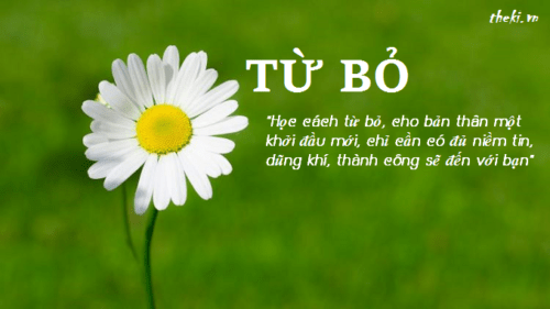 hoc-cach-tu-bo-cho-ban-than-mot-khoi-dau-moi-chi-can-co-du-niem-tin-dung-khi-thanh-cong-se-den-voi-ban