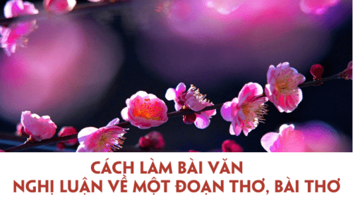 huong-dan-cach-lam-bai-nghi-luan-ve-mot-tac-pham-tho-hoac-doan-tho