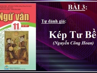 kep-tu-ben-nguyen-cong-hoan-bai-3-ngu-van-11-tap-1-canh-dieu