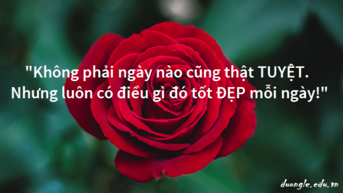 khong-phai-ngay-nao-cung-that-tuyet-nhung-chac-chan-luon-co-nhung-dieu-tot-dep-moi-ngay