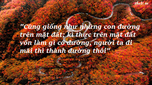 ki-thuc-tren-mat-dat-von-lam-gi-co-duong-nguoi-ta-di-mai-thi-thanh-duong-thoi