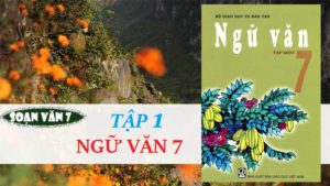 lien-ket-trong-van-ban-day-du-ngu-van-7