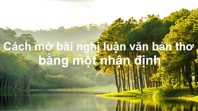 mo-bai-nghi-luan-van-ban-tho-bang-mot-nhan-dinh