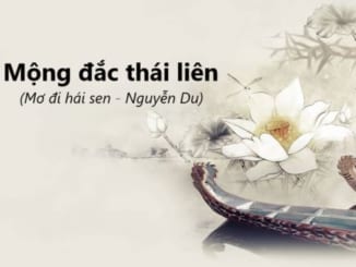 mong-dac-thai-lien-mo-di-hai-sen-nguyen
