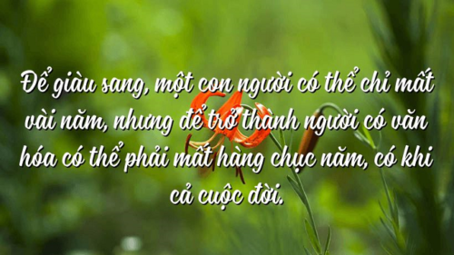 nghi-luan-de-giau-sang-mot-nguoi-co-the-chi-mat-vai-ba-nam-nhung-de-tro-thanh-nguoi-co-van-hoa-co-the-phai-mat-hang-chuc-nam-co-khi-ca-cuoc-doi-vu-khieu