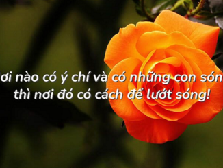 nghi-luan-noi-nao-co-y-chi-va-co-nhung-con-song-thi-noi-do-co-cach-de-luot-song-nick-vujicic