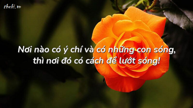 nghi-luan-noi-nao-co-y-chi-va-co-nhung-con-song-thi-noi-do-co-cach-de-luot-song-nick-vujicic