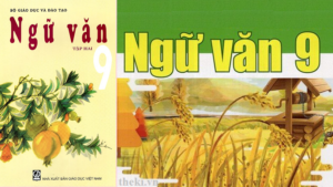 nghia-tuong-minh-va-ham-y-sgk-ngu-van-9-tap-2