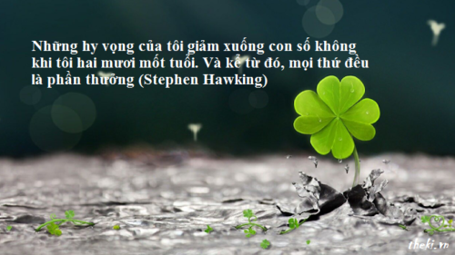 nhung-hy-vong-cua-toi-giam-xuong-con-so-khong-khi-toi-hai-muoi-mot-tuoi-va-ke-tu-do-moi-thu-deu-la-phan-thuong-stephen-hawking