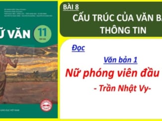 nu-phong-vien-dau-tien-tran-nhat-vy