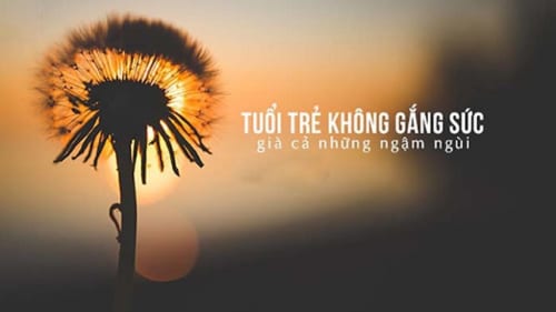 on-tap-kiem-tra-van-chu-de-tuoi-tre-va-tuong-lai-dat-nuoc-tinh-than-doan-ket-tuong-than-tuong-ai-lop-8