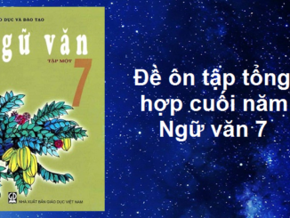 on-tap-tong-hop-cuoi-nam-lop-7-15233-2