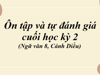 on-tap-va-tu-danh-gia-cuoi-hoc-ky-2-ngu-van-8-canh-dieu