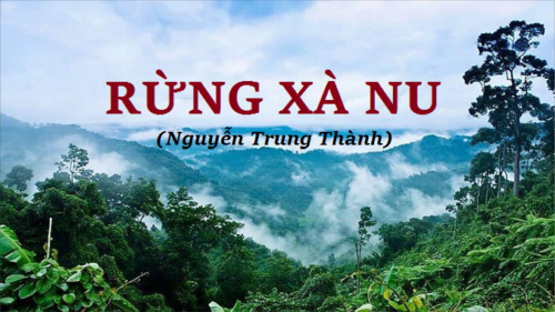 phan-tich-nghe-thuat-mieu-ta-cay-xa-nu-trong-truyen-ngan-rung-xa-nu-cua-nguyen-trung-thanh