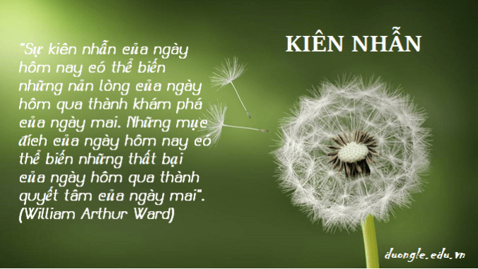 su-kien-nhan-cua-ngay-hom-nay-co-the-bien-nhung-nan-long-cua-ngay-hom-qua-thanh-kham-pha-cua-ngay-mai