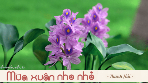 suy-nghi-ve-le-song-cao-dep-cua-nha-tho-thanh-hai-qua-doan-tho-sau-ta-lam-con-chim-hot-du-la-khi-toc-bac