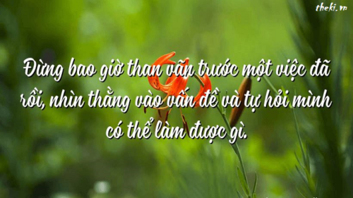 suy-nghi-ve-thoi-hay-than-van-cua-mot-son-guoi-trong-cuoc-song