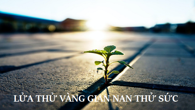 suy-nghi-ve-y-nghia-cau-tuc-ngu-lua-thu-vang-gian-nan-thu-suc