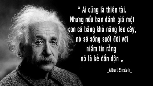 suy-nghia-ve-cau-noi-cua-anhxtanh-ai-cung-la-thien-tai-nhung-neu-ban-danh-gia-mot-con-ca-bang-kha-nang-leo-cay-no-se-song-suot-doi-voi-niem-tin-rang-no-la-ke-dan-don