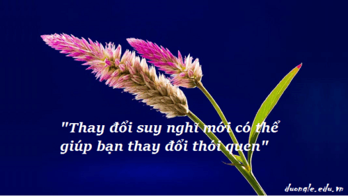 thay-doi-suy-nghi-moi-co-the-giup-ban-thay-doi-thoi-quen