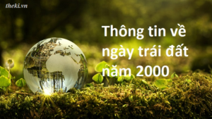 thong-tin-ve-ngay-trai-dat-nam-2000-sgk-ngu-van-8-tap-1