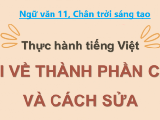 thuc-hanh-tieng-viet-bai-8-ngu-van-11-tap-2-chan-troi-sang-tao