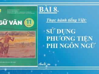 thuc-hanh-tieng-viet-su-dung-phuong-tien-phi-ngon-ngu-bai-8-ngu-van-11-tap-2-ket-noi-tri-thuc