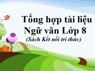 tong-hop-tai-lieu-ngu-van-lop-8-sach-ket-noi-tri-thuc