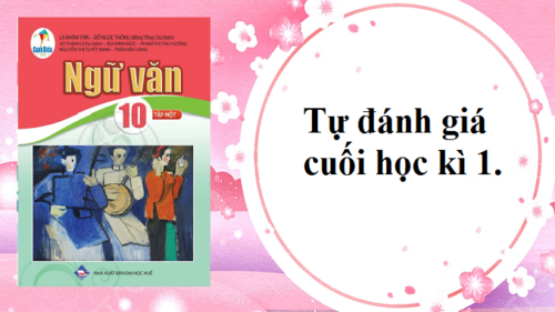 tu-danh-gia-cuoi-hoc-ki-1-ngu-van-10-canh-dieu