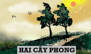 phan-tich-doan-jtrichs-hai-cay-phong