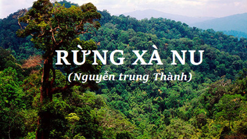 ve-dep-su-thi-cua-hinh-tuong-nguoi-cach-mang-tay-nguyen-trong-truyen-ngan-rung-xa-nu-cua-nguyen-trung-thanh